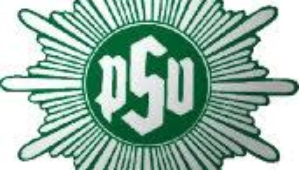 psv bochum
