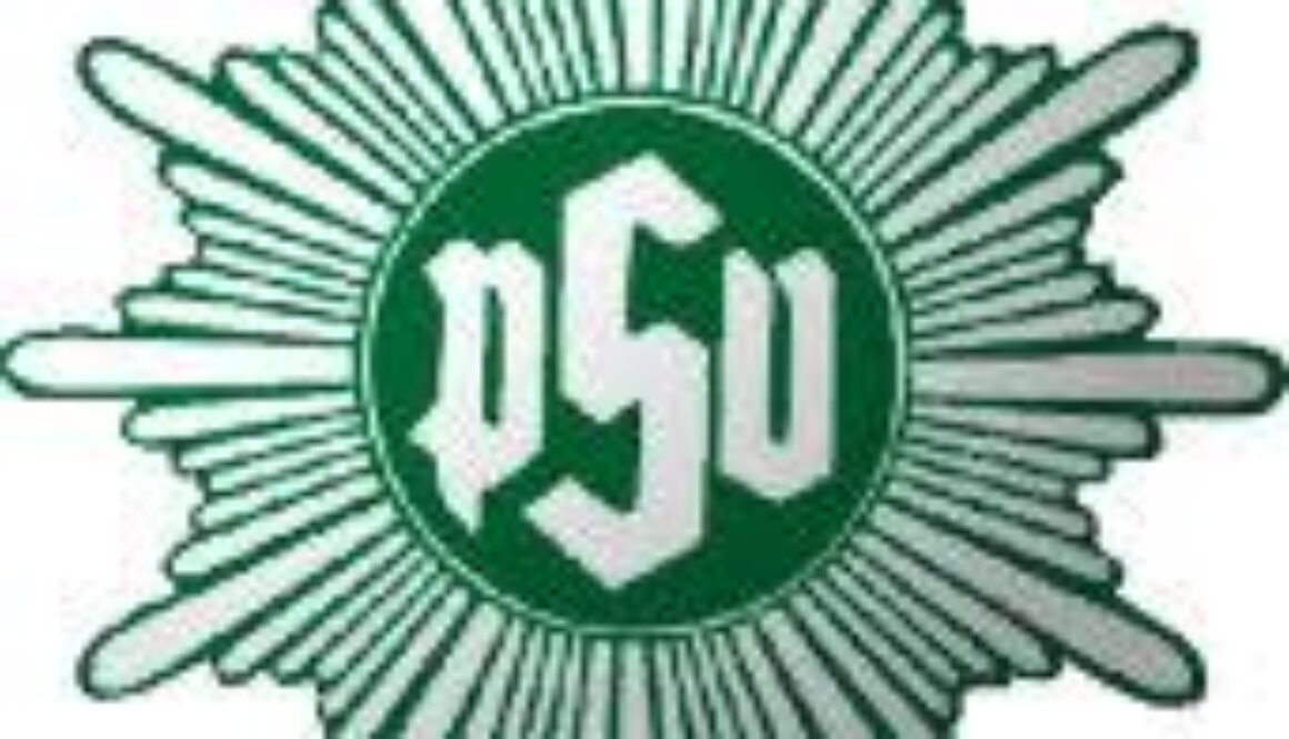 psv bochum