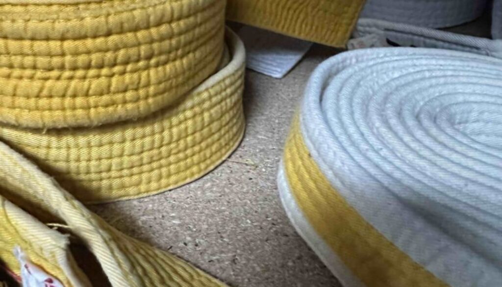 Symbolbild_Kyuprüfung