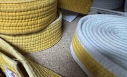 Symbolbild_Kyuprüfung