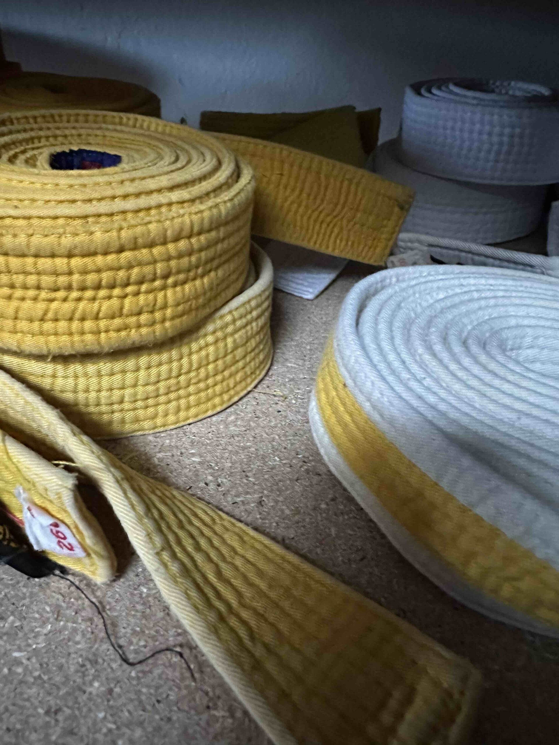 Symbolbild_Kyuprüfung